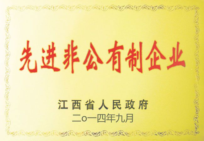 先進(jìn)非公有制企業(yè)